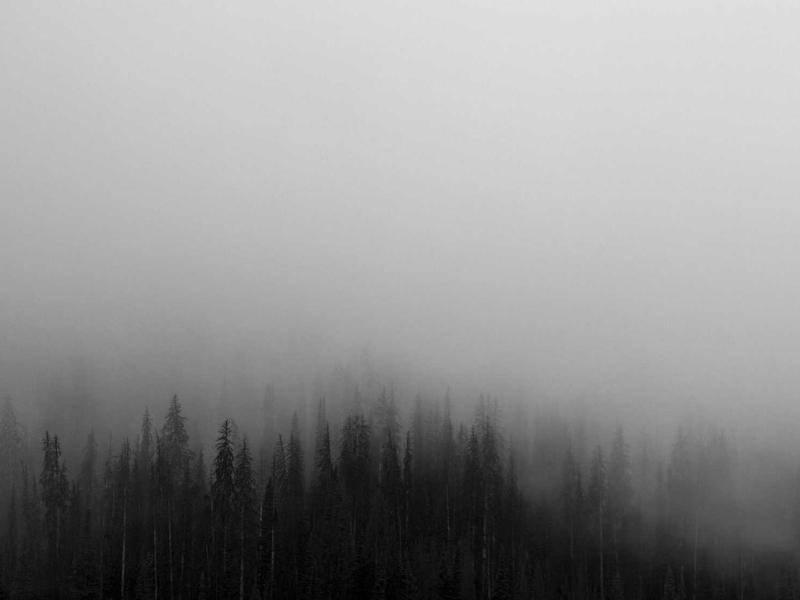 气味评价员<br>warnesu.cn 香奈儿五号拆解